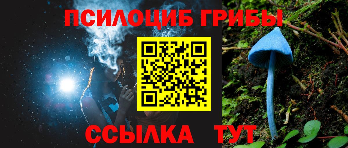 Галлюциногенные грибы мицелий  Псилоцибиновые грибы GOLDEN TEACHER  Нурлат  Вход с VPN 