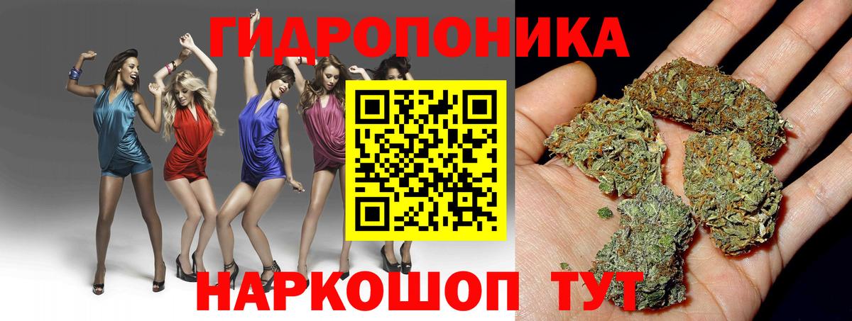 Канабис гибрид Нурлат